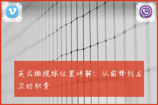英式橄榄球位置详解:从前锋到后卫的职责