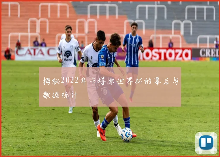 揭秘2022年卡塔尔世界杯的幕后与数据统计