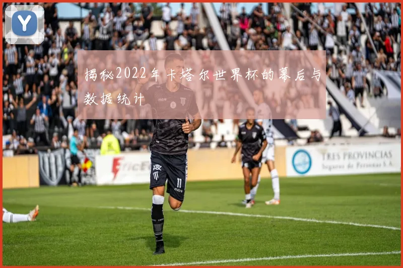 揭秘2022年卡塔尔世界杯的幕后与数据统计